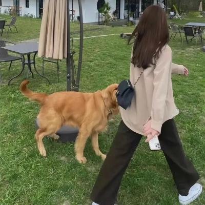 津门奇案之艳遇