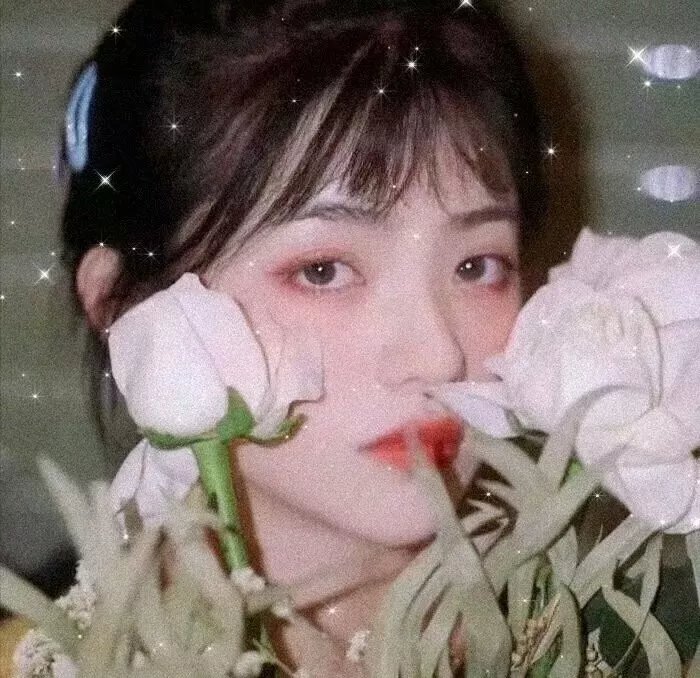 远方的狗吠声